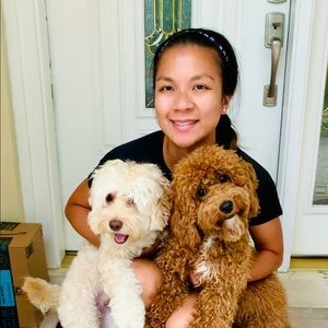 Meet your Posher, My